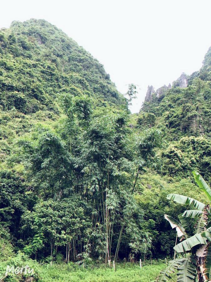 Khuoi Ky Eco Homestay Cao Bang